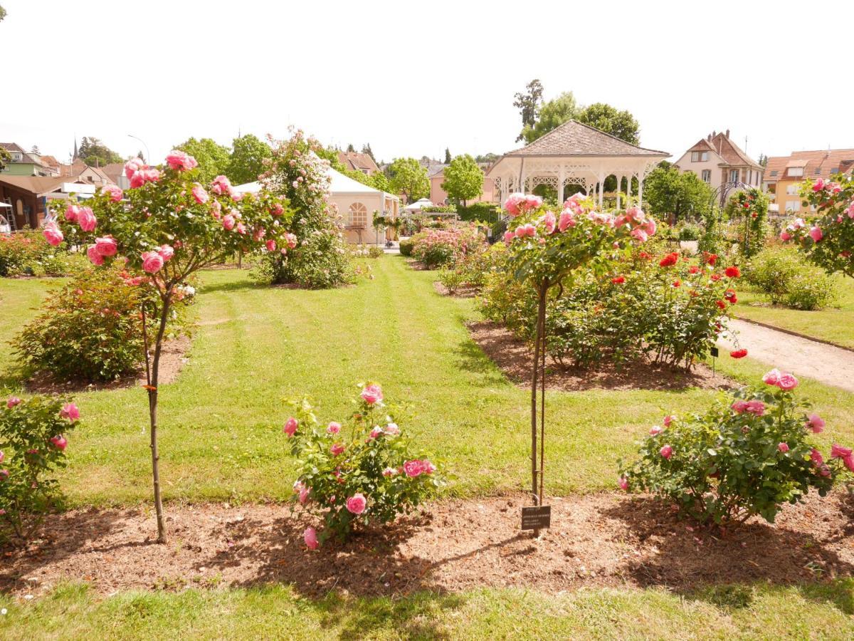 Apartament Le Jardin Des Roses Saverne Zewnętrze zdjęcie