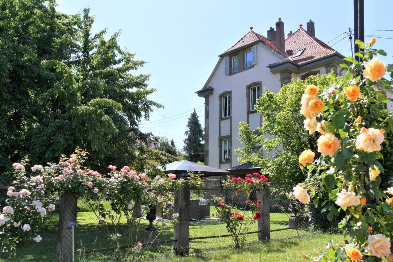 Apartament Le Jardin Des Roses Saverne Zewnętrze zdjęcie
