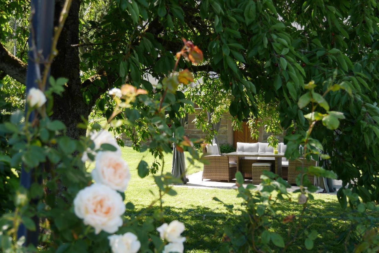 Apartament Le Jardin Des Roses Saverne Zewnętrze zdjęcie