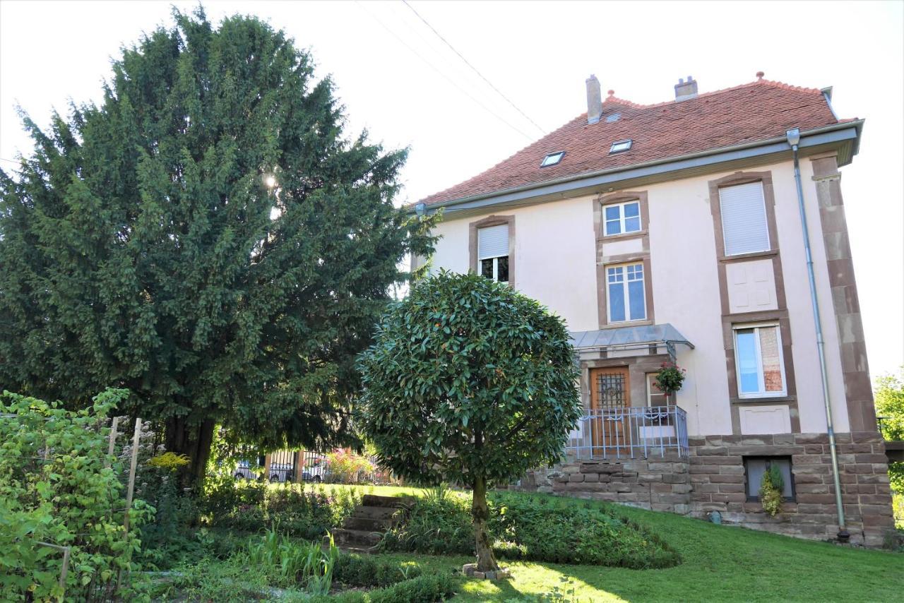 Apartament Le Jardin Des Roses Saverne Zewnętrze zdjęcie