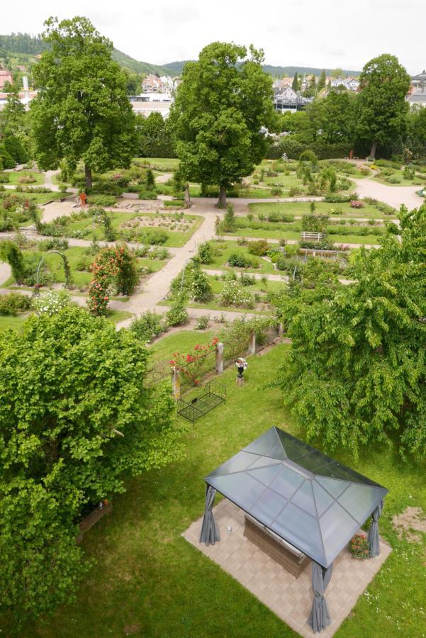 Apartament Le Jardin Des Roses Saverne Zewnętrze zdjęcie