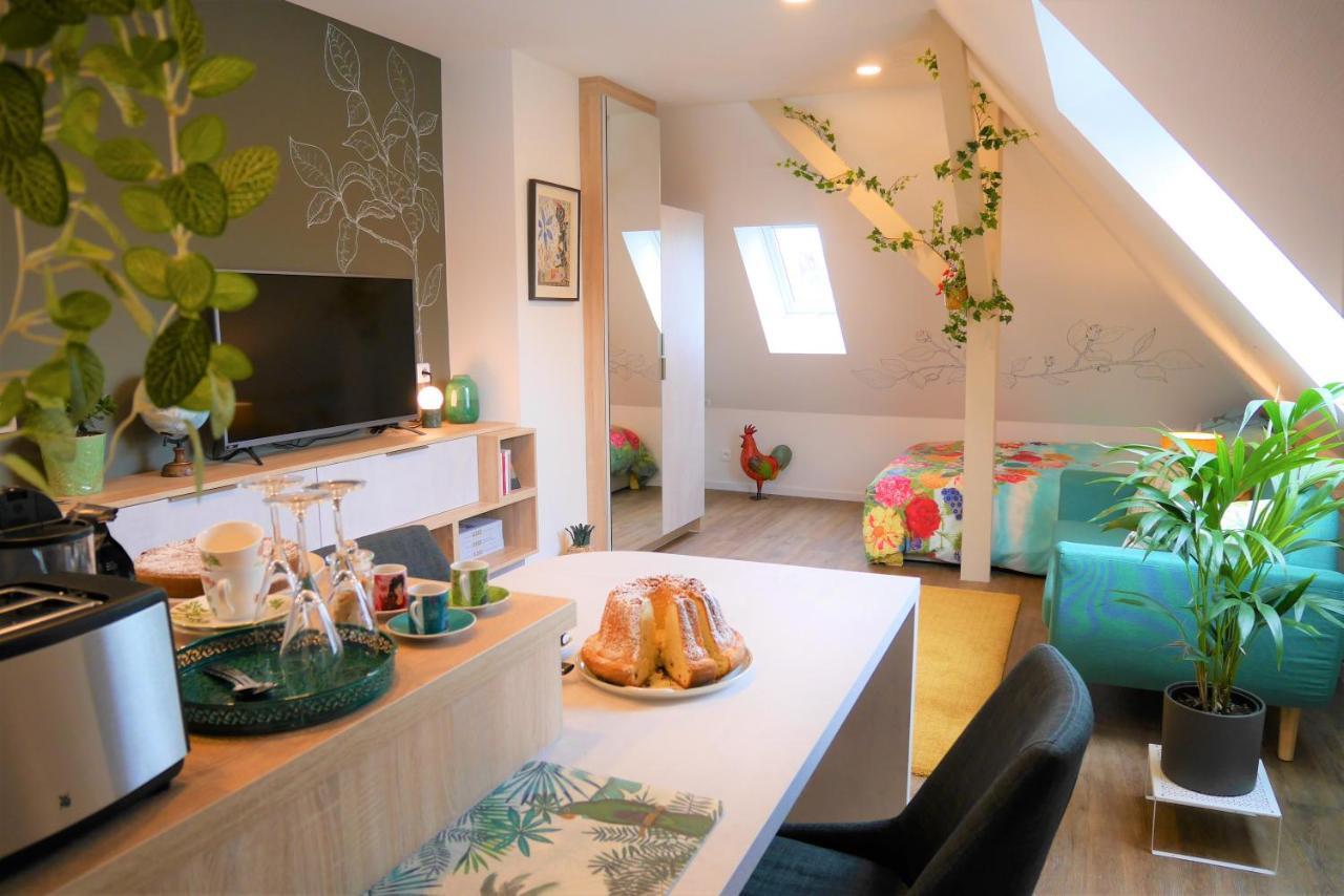 Apartament Le Jardin Des Roses Saverne Zewnętrze zdjęcie