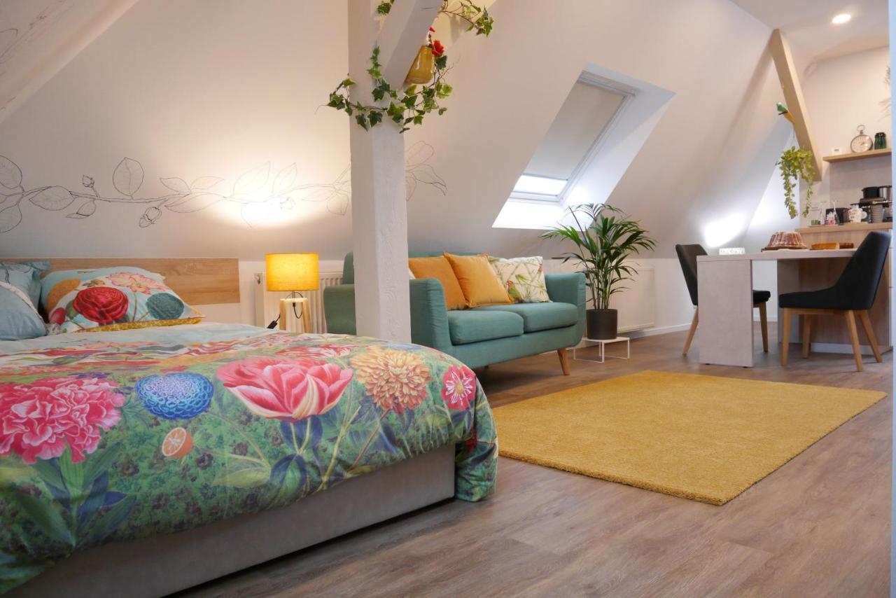 Apartament Le Jardin Des Roses Saverne Zewnętrze zdjęcie
