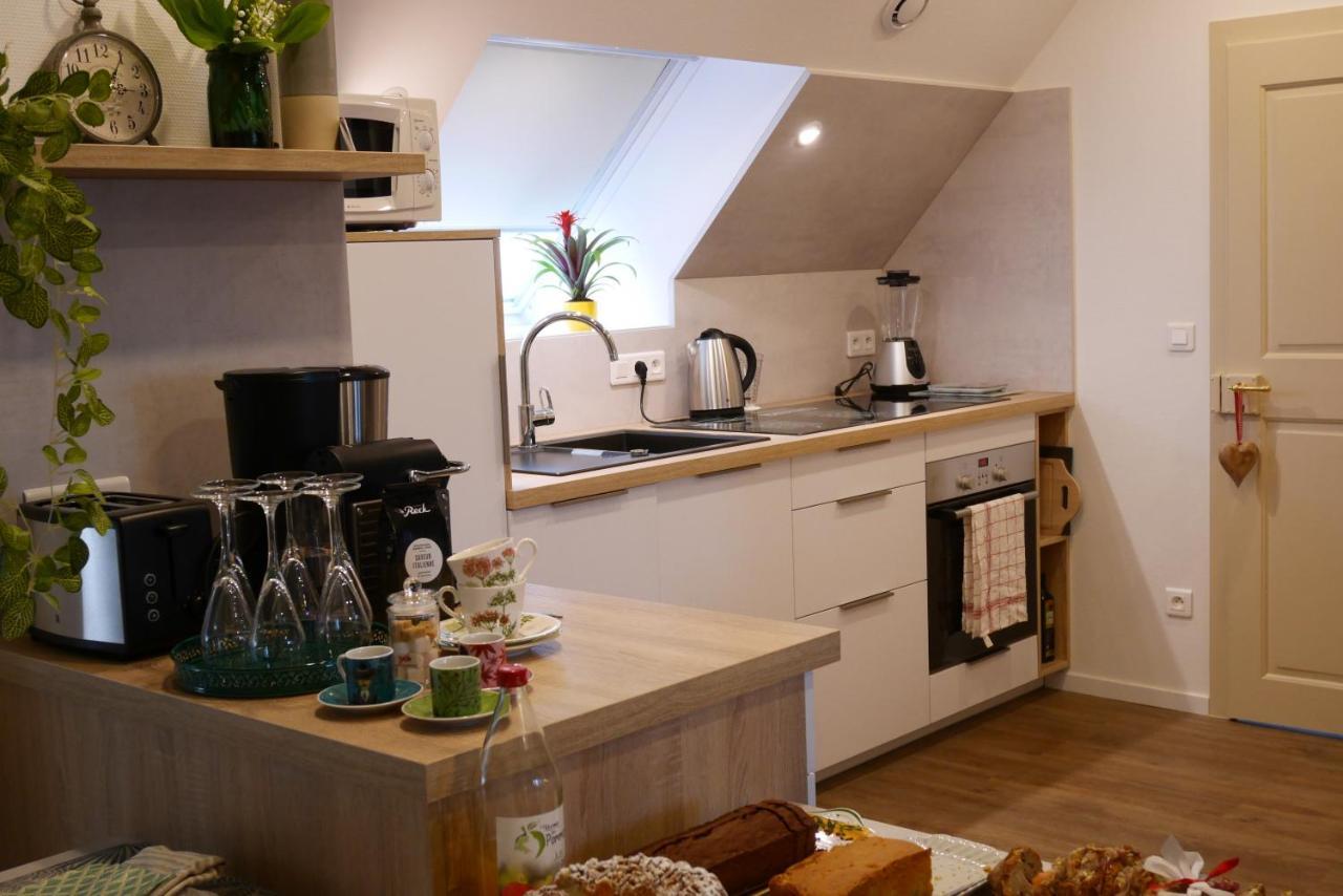 Apartament Le Jardin Des Roses Saverne Zewnętrze zdjęcie