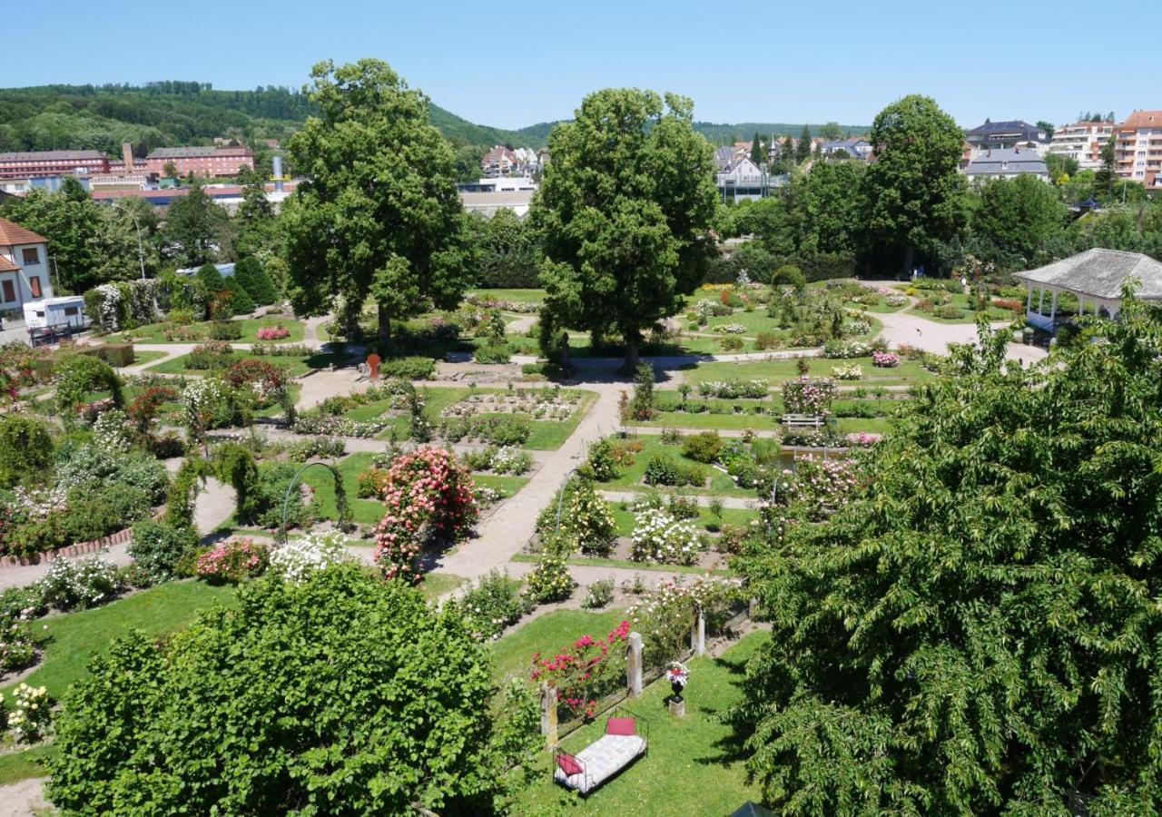 Apartament Le Jardin Des Roses Saverne Zewnętrze zdjęcie